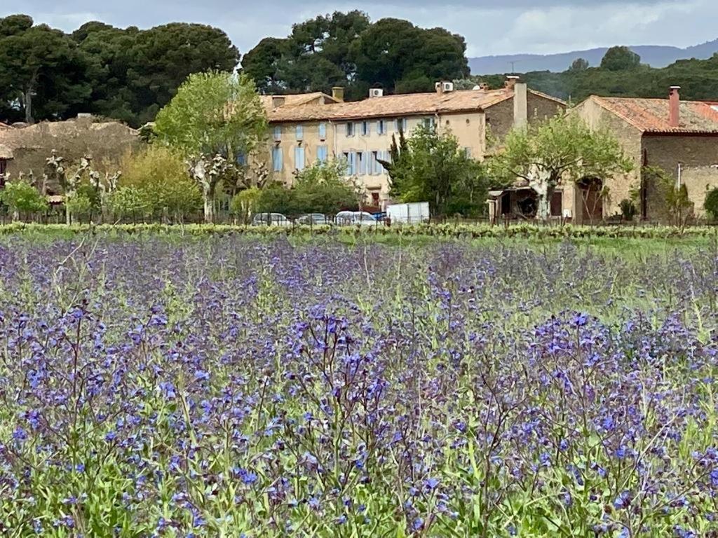 Bed and Breakfast Le Relais D'Affiac Peyriac-Minervois Экстерьер фото
