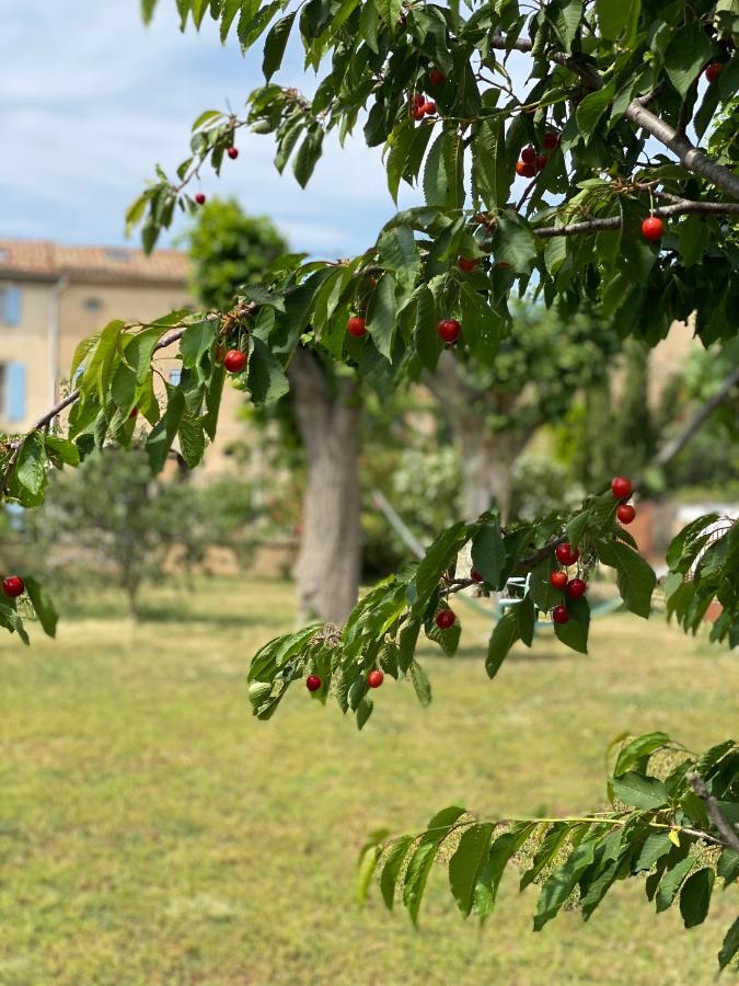 Bed and Breakfast Le Relais D'Affiac Peyriac-Minervois Экстерьер фото